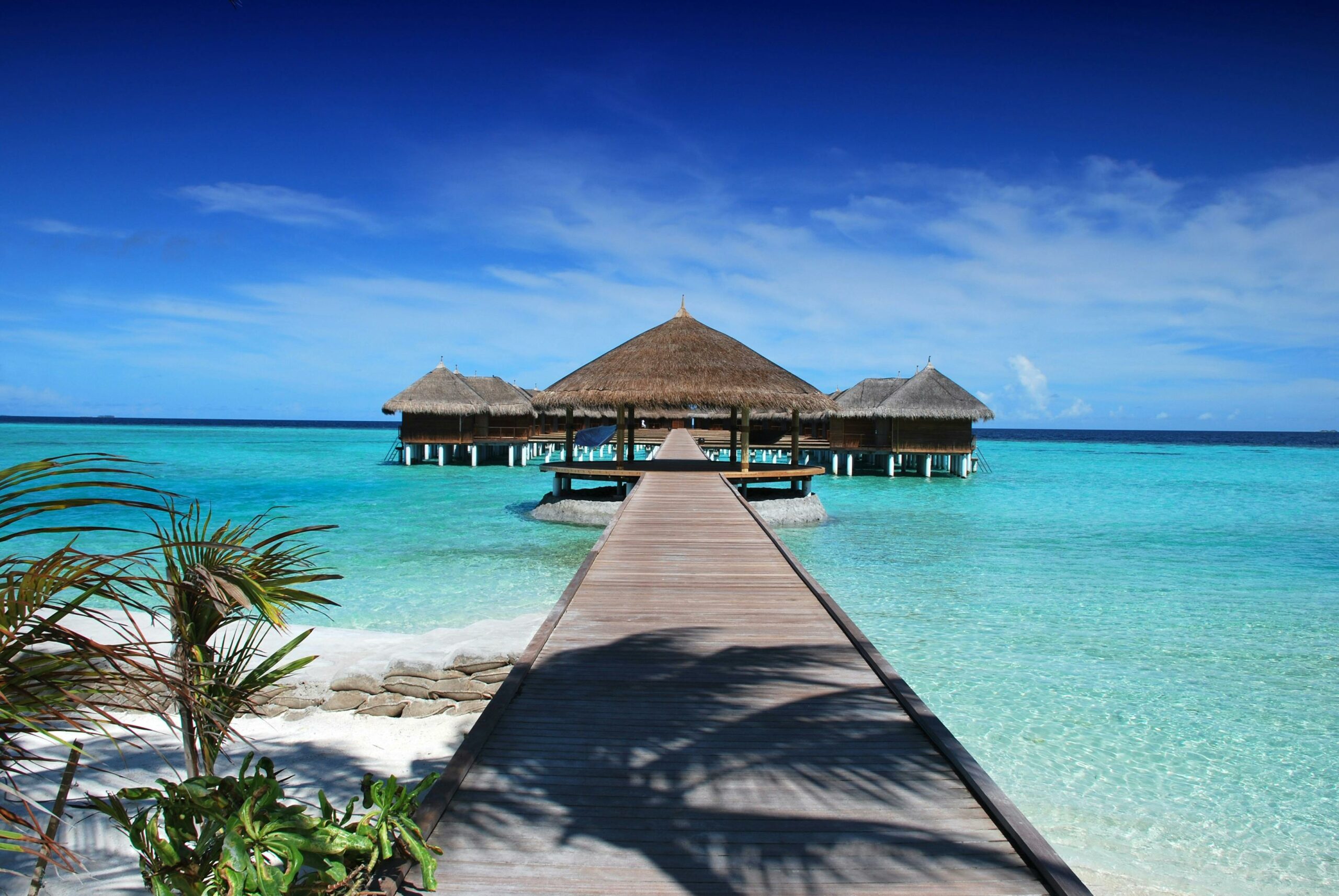Scenic view of a wooden boardwalk leading to serene overwater bungalows at an island resort.
Peripia – Travel planner / Organisateur de voyage spécialisé dans les voyages sur mesure, durables et authentiques.